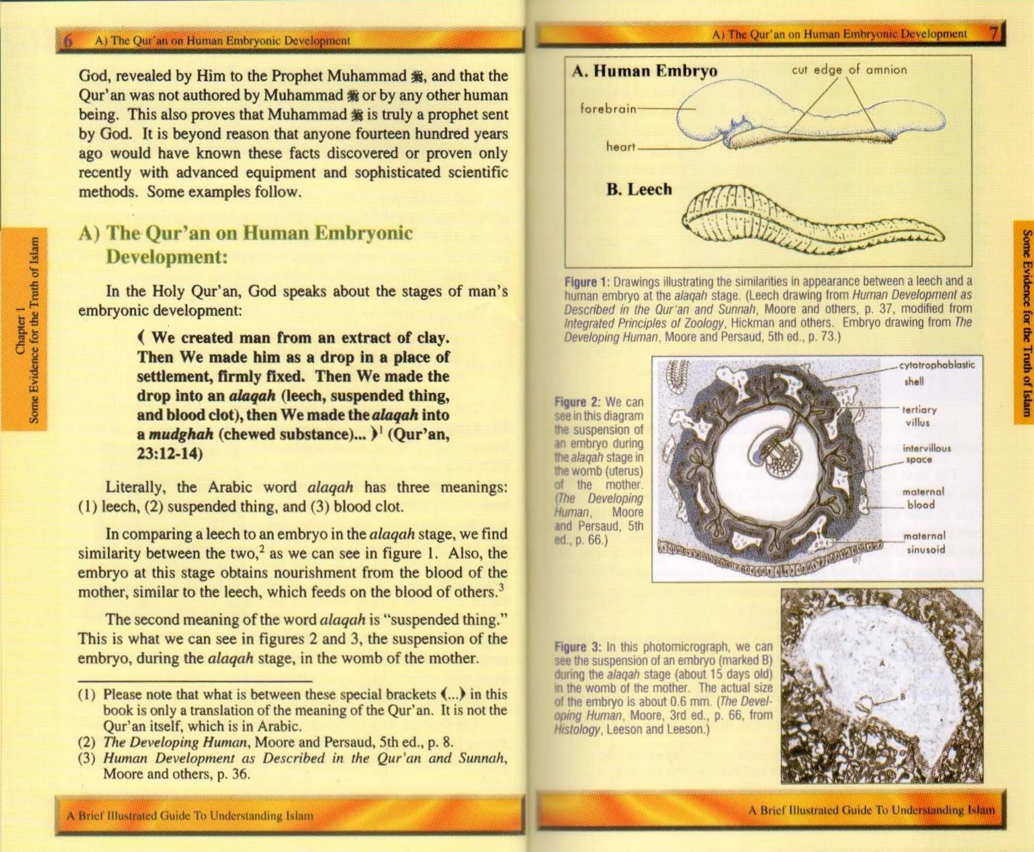 A Brief Illustrated Guide To Understanding Islam - Image 6