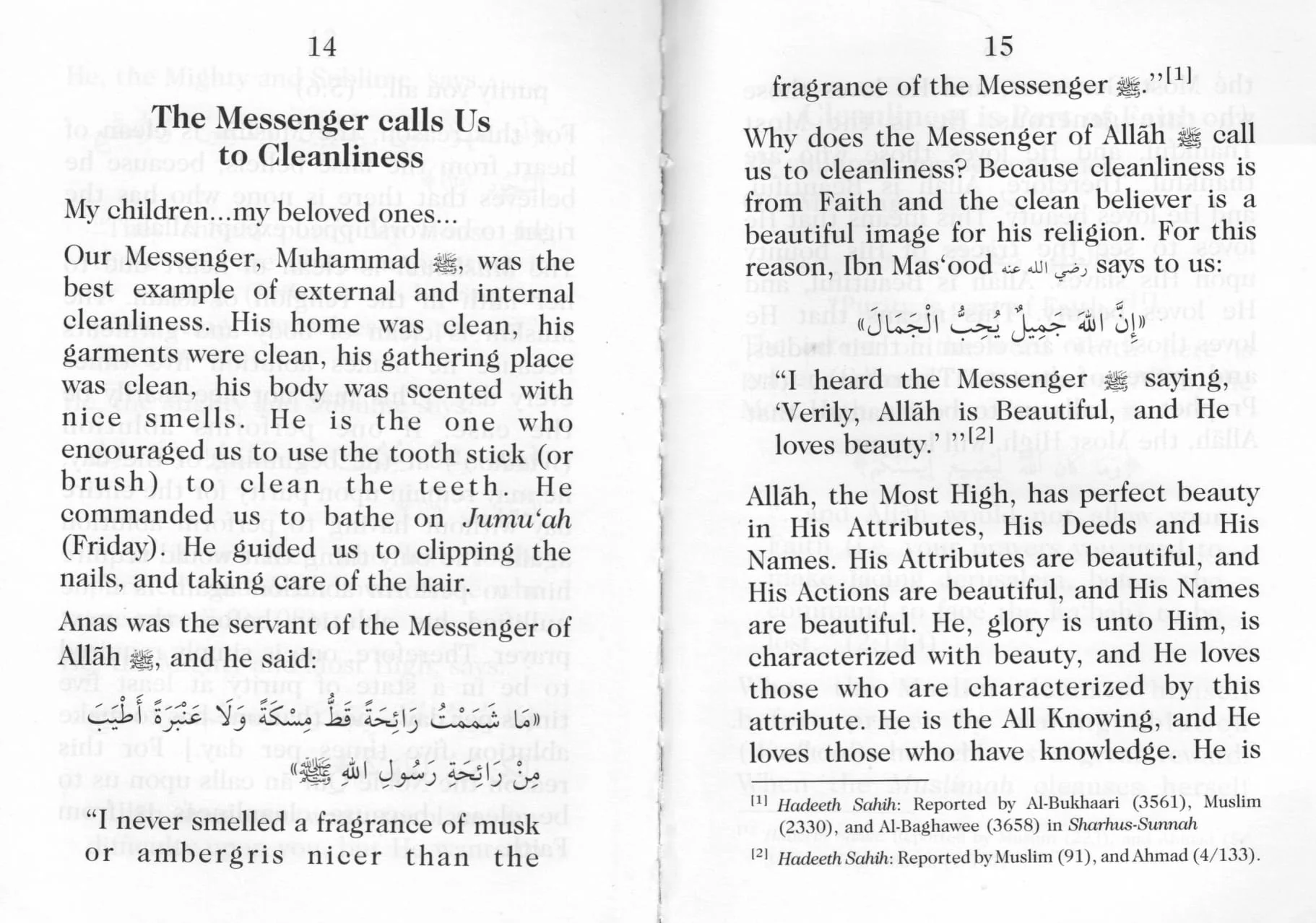 Cleanliness is from Faith - Image 5