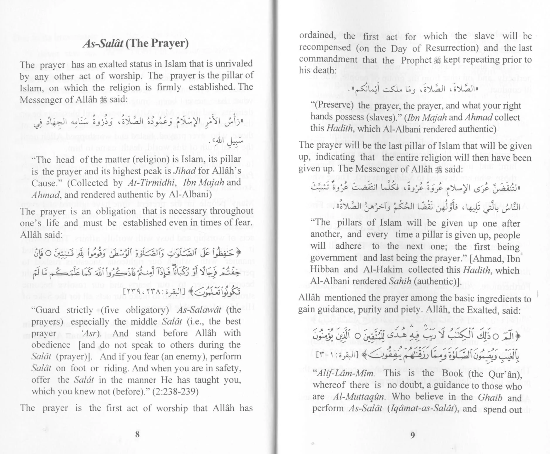 Establish The Prayers and The Prize is Paradise - Image 4