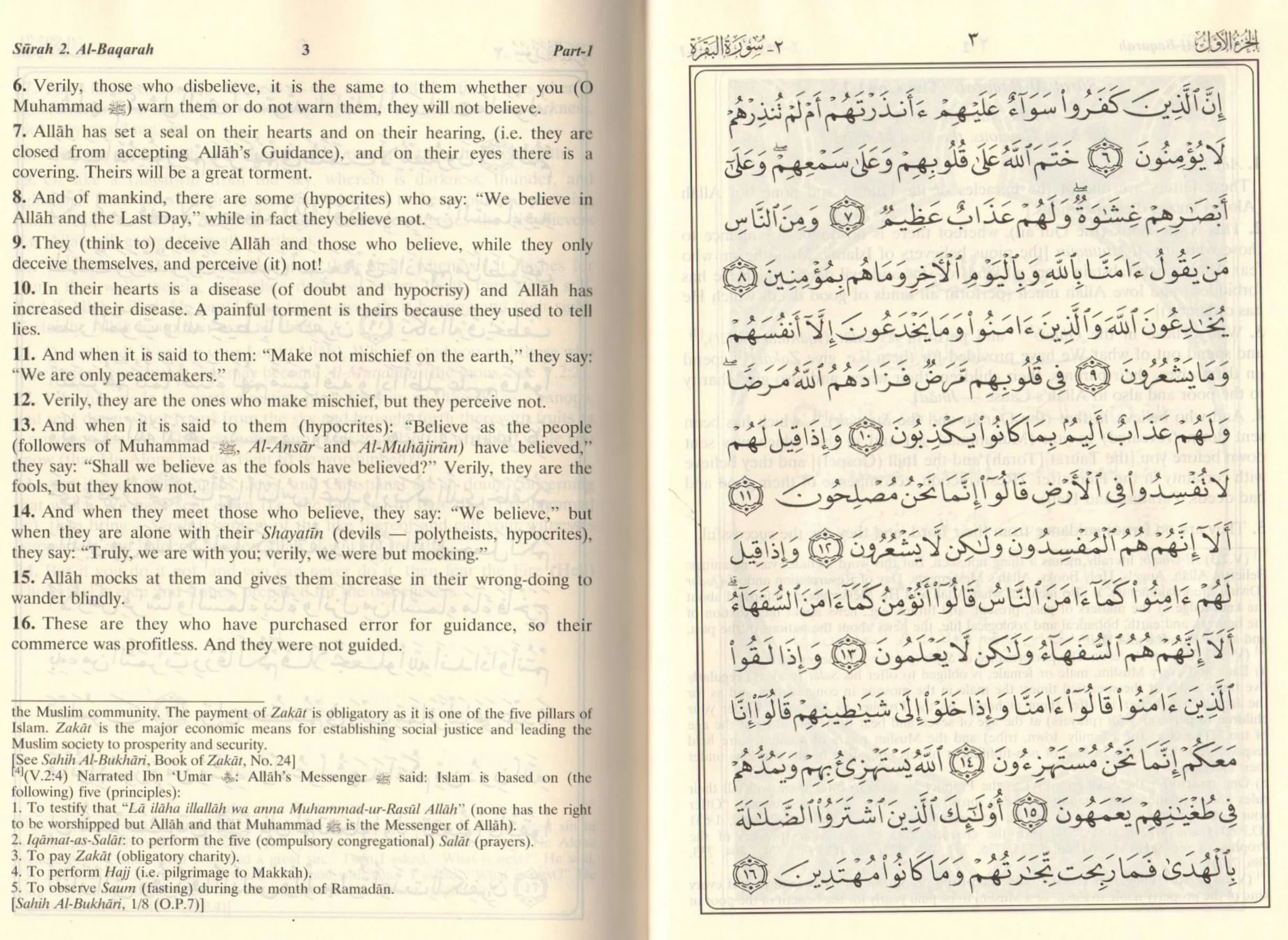 Interpretation Of The Meanings Of The Noble Qur'An In The English Language - Reader Big - Image 5