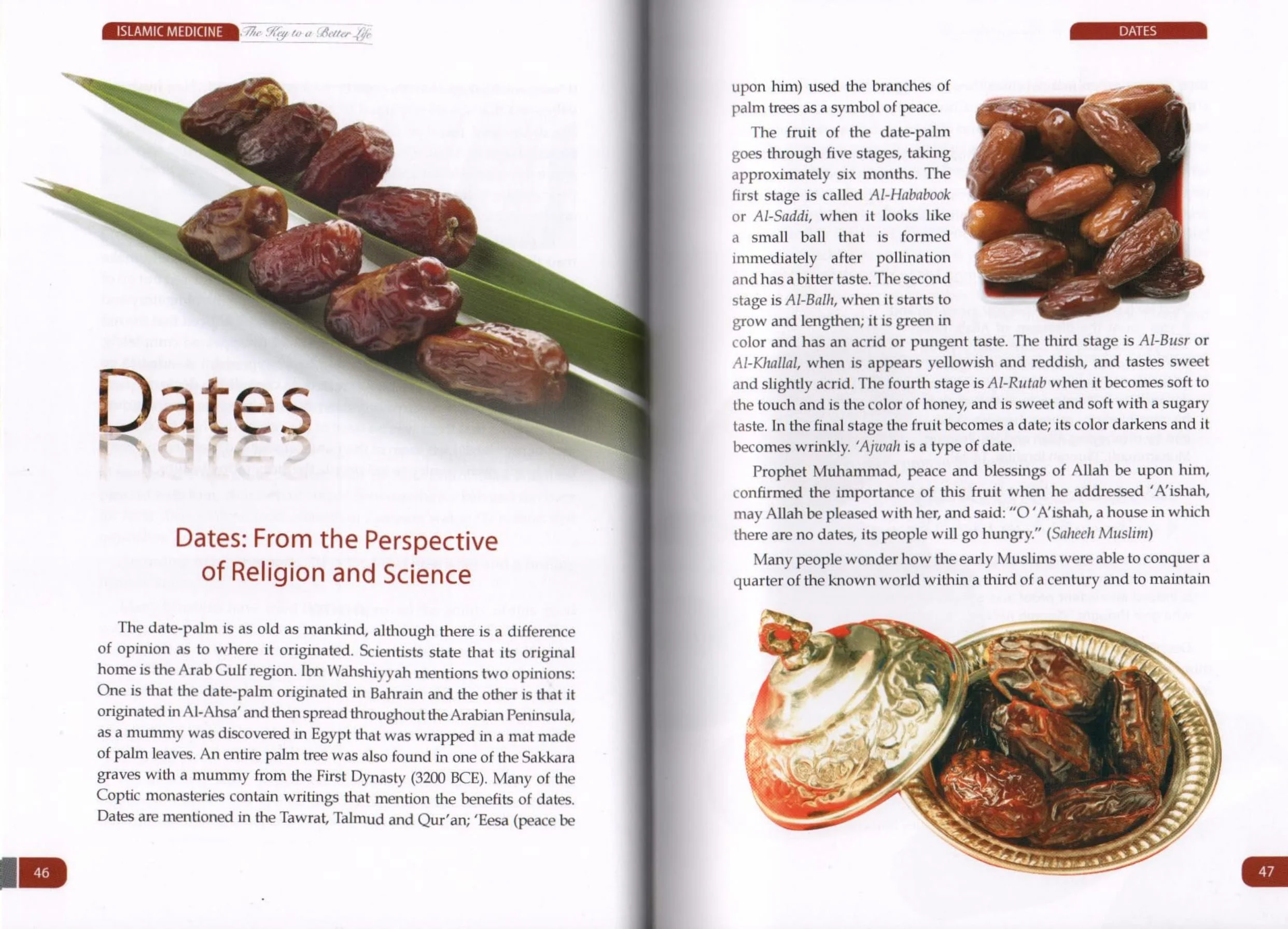 Islamic Medicine The Key To A Better Life - Image 11